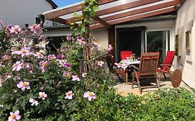 Gartenblick