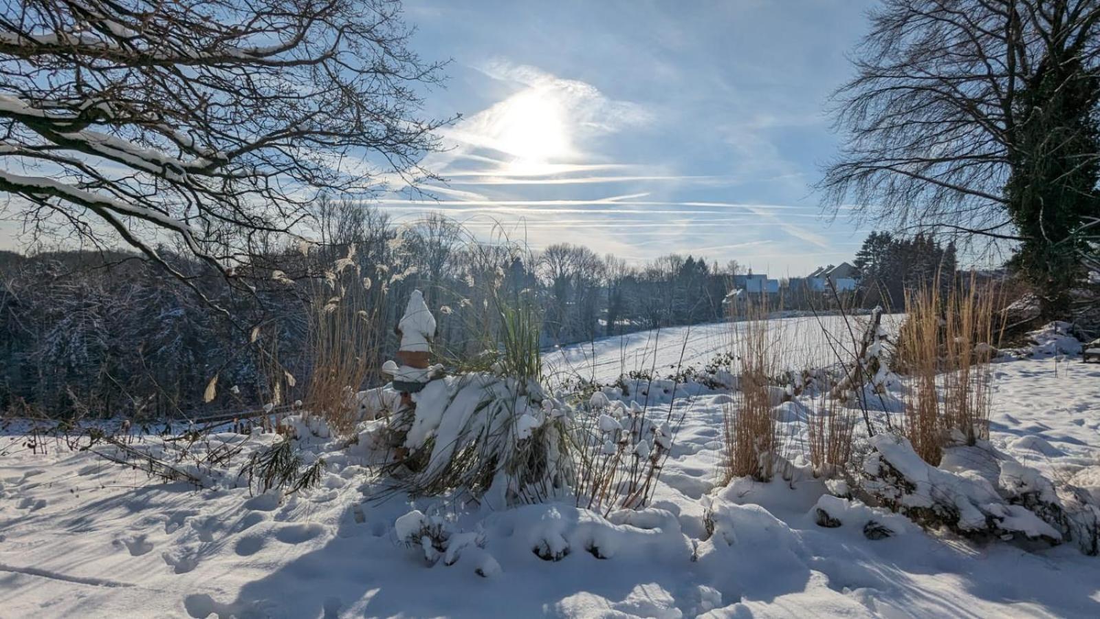 Gartenblick Leichlingen Exterior foto