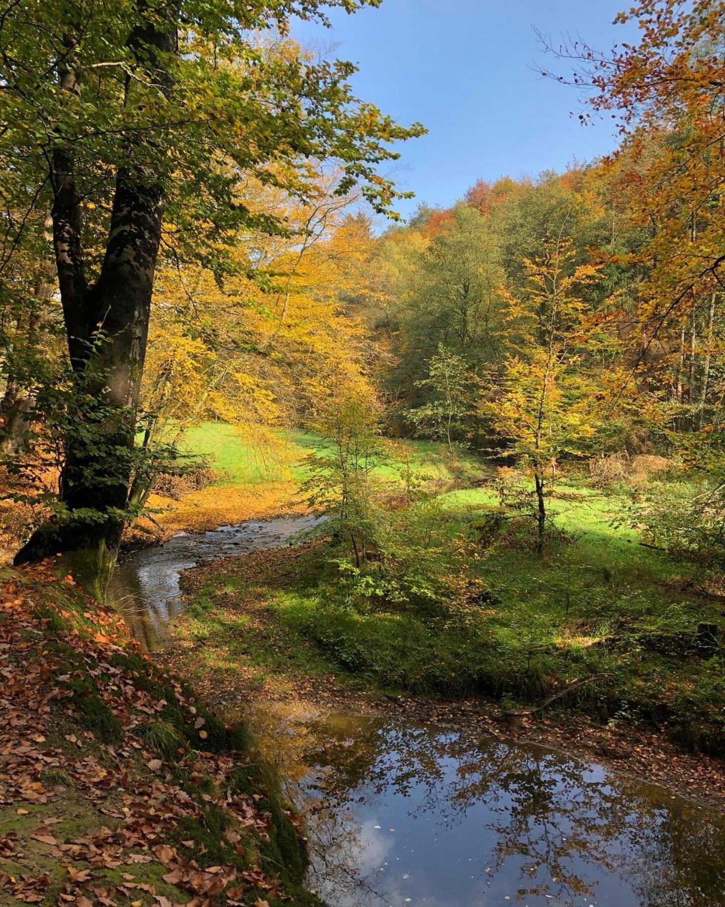 Gartenblick Leichlingen Exterior foto